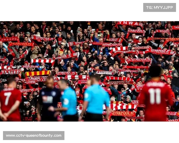 德甲新赛季转播平台扩容 中国球迷观赛渠道更加多元